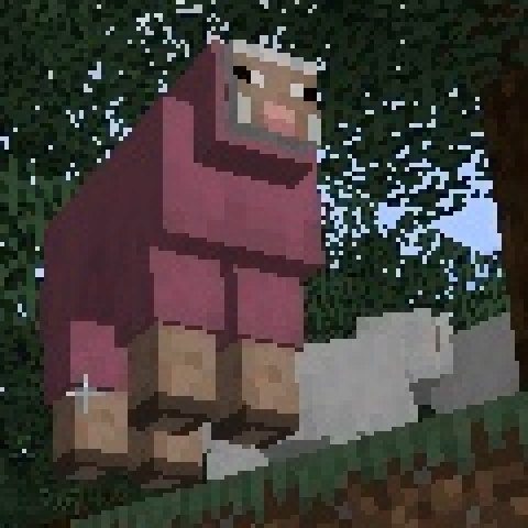 Zoomed crop of the animal: a pink sheep.